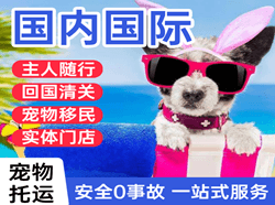 博乐阿拉山口机场空运国际宠物托运 【国